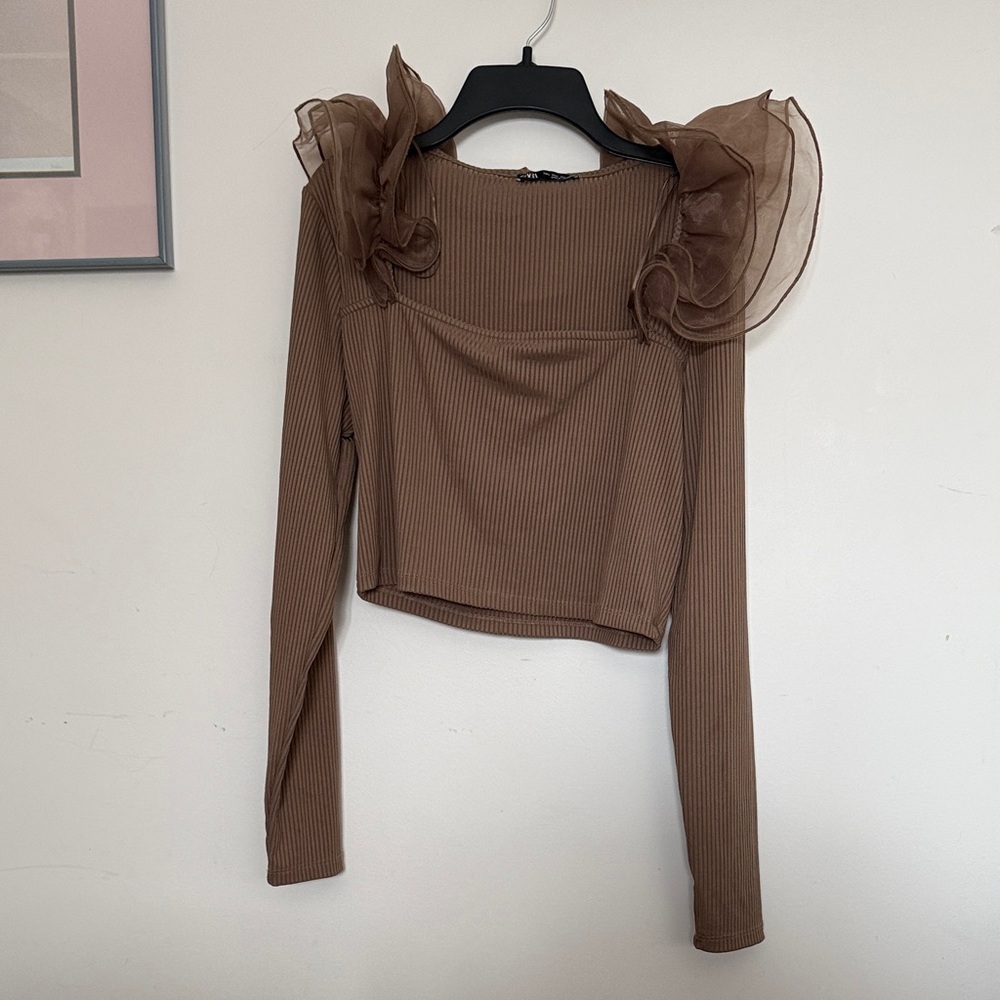 Zara Brown Ruffled Blouse